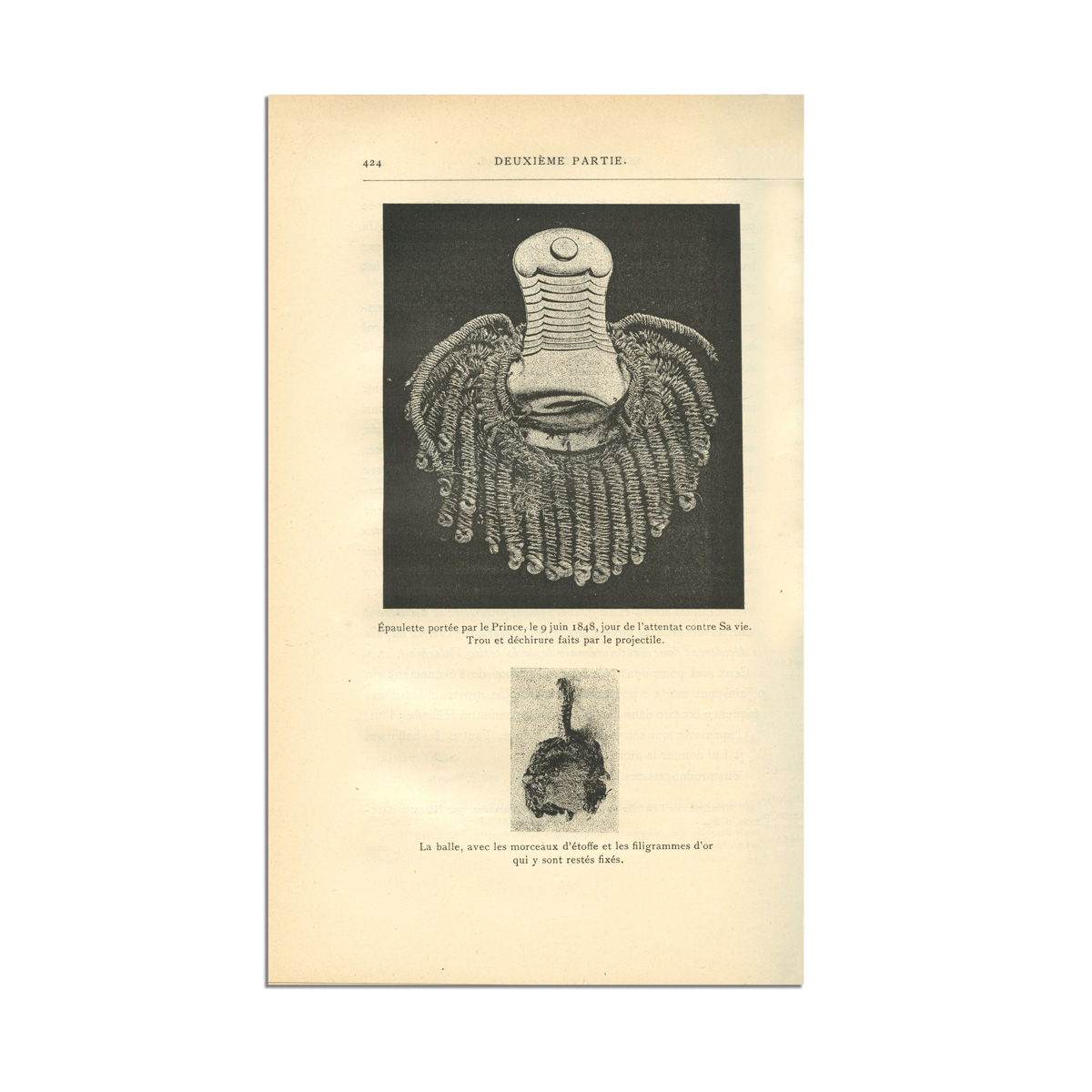 Georges Bibesco, Règne de Bibesco, 1894 - imagine 6