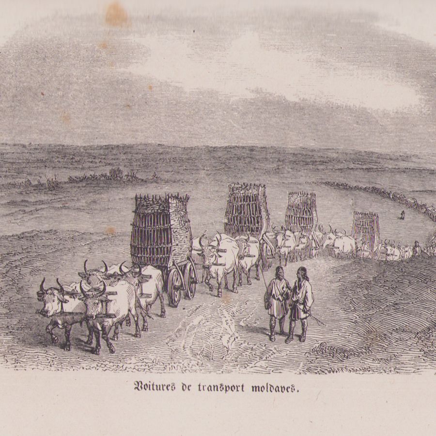 Anatole de Demidoff, Călătorie în sudul Rusiei Meridionale și Crimeea prin Ungaria, Moldova și Țara Românească, 1841, ediție în legătură de artă - imagine 9