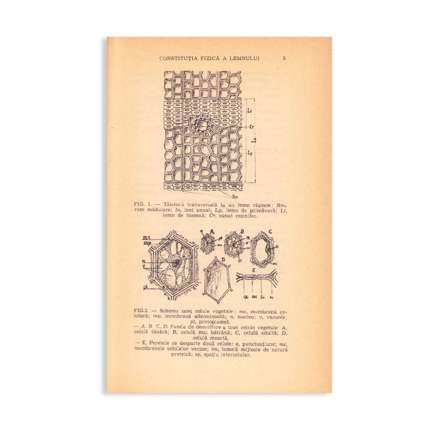 Constantin N. Tămârjan, Manualul tâmplarului. Vol. I: Cleiurile, 1941 + o bucată de clei de epocă - imagine 3
