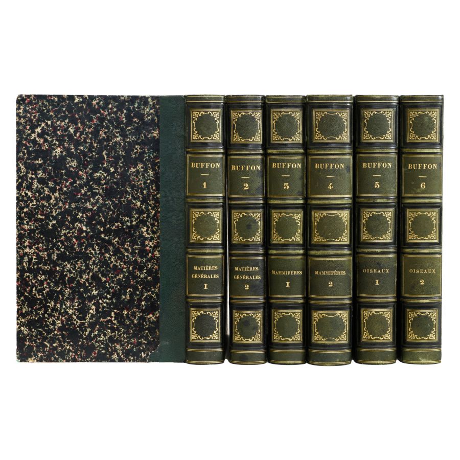 Oeuvres complètes de Buffon, 1853, 6 tomuri - Opere complete - imagine 3